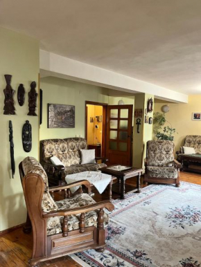 Maisonette in the center